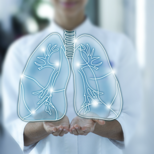 lung health membership program Doctor holding lungs with open hands